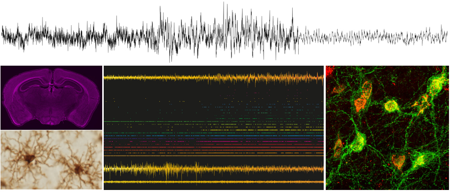 常松研究室のサイトです